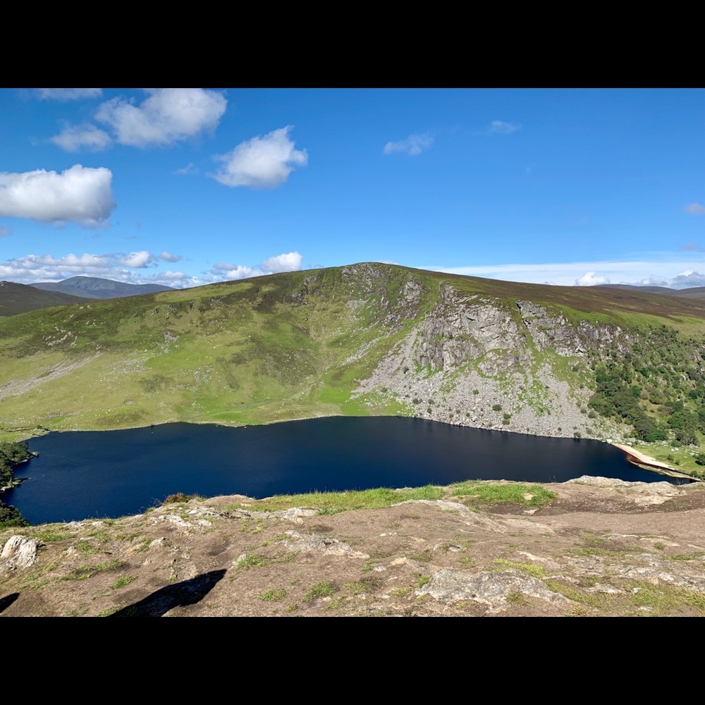 Meet your Posher, Brenda